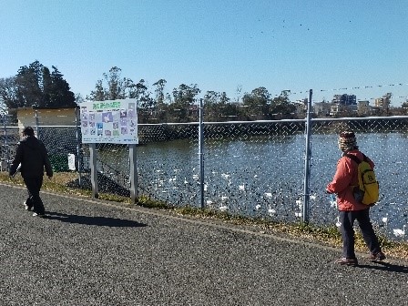 白鳥飛来地