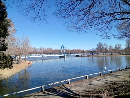水元公園の水元大橋