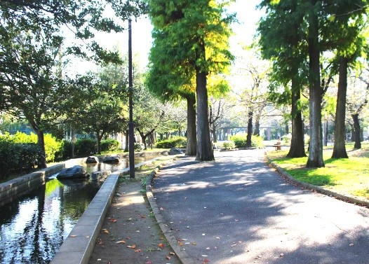 東綾瀬公園の遊歩道