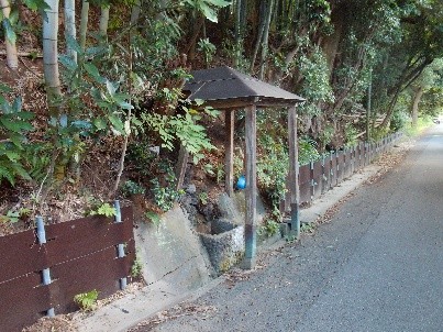 ハケの道の湧水