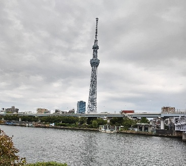 隅田川を挟んで見る東京スカイツリー（墨田区・台東区）