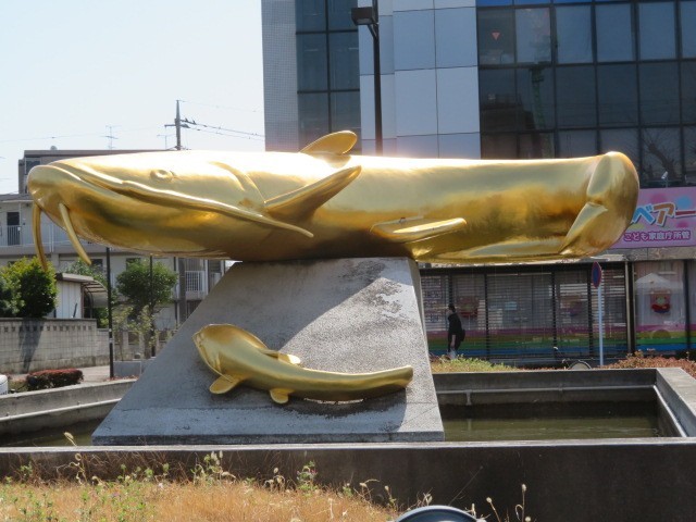 吉川の大なまず