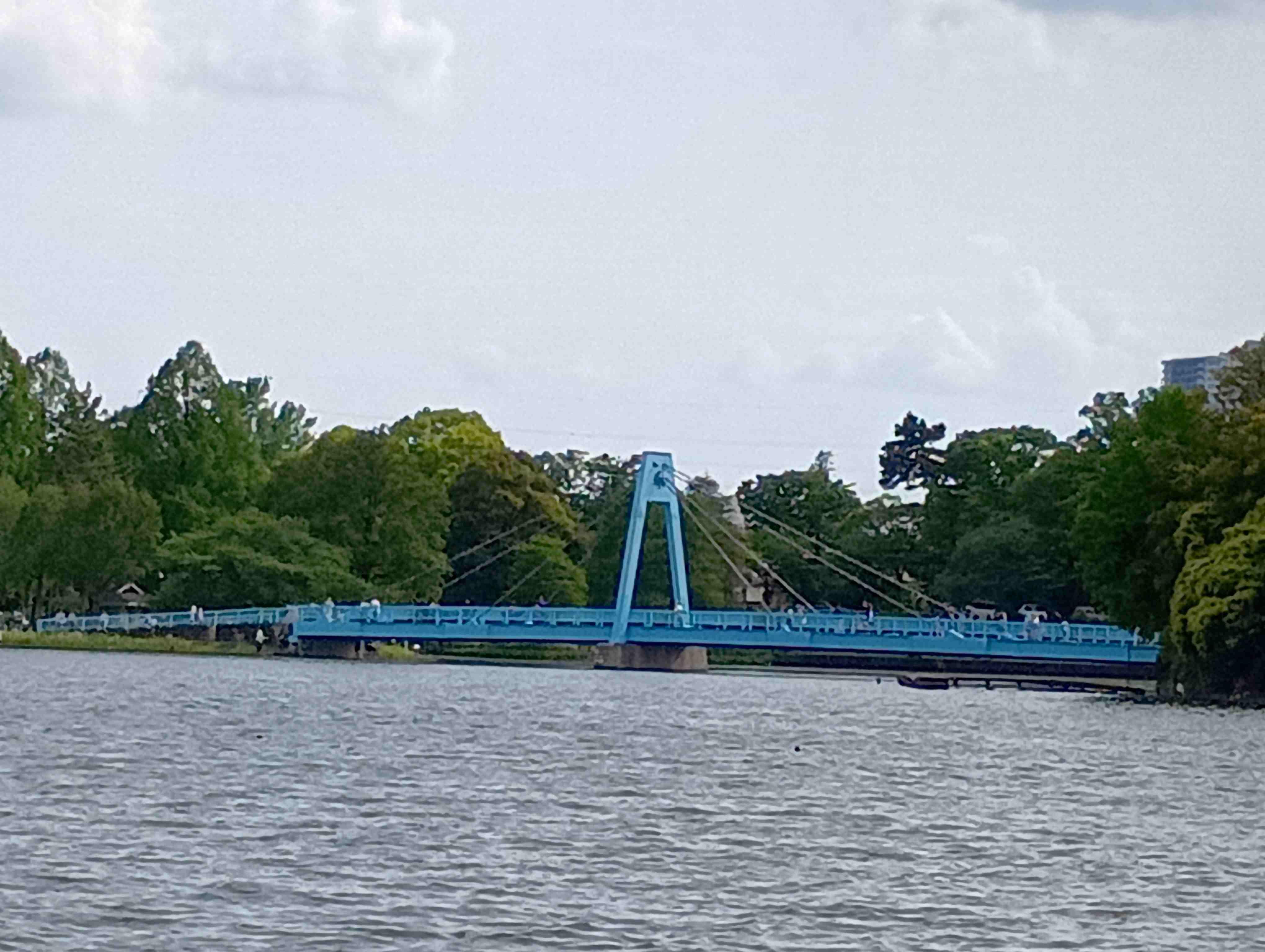 みさと公園から見る水元大橋