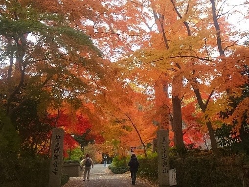 観音寺の紅葉