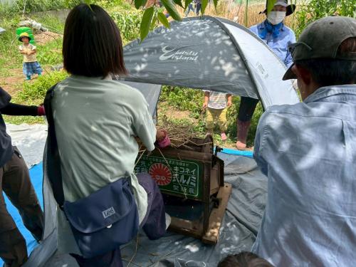 LINE_ALBUM_2025620ジャガイモ掘りand脱穀_250625_17