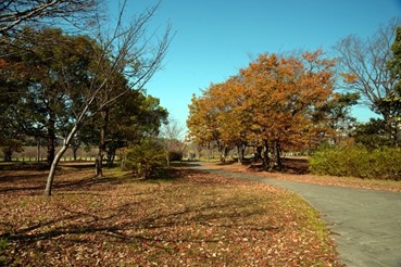 船橋市運動公園