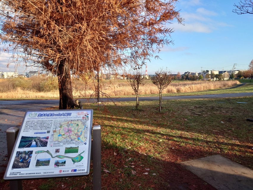 K_3714柏ビレジ水辺公園H_Rf.JPG