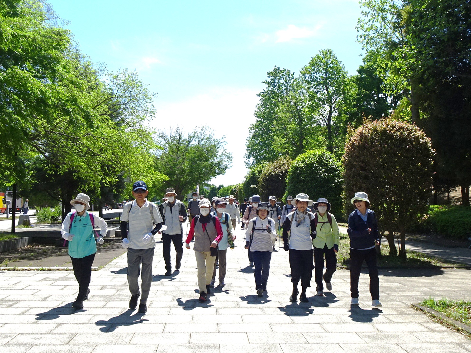 IMG_1376_Rf.JPG