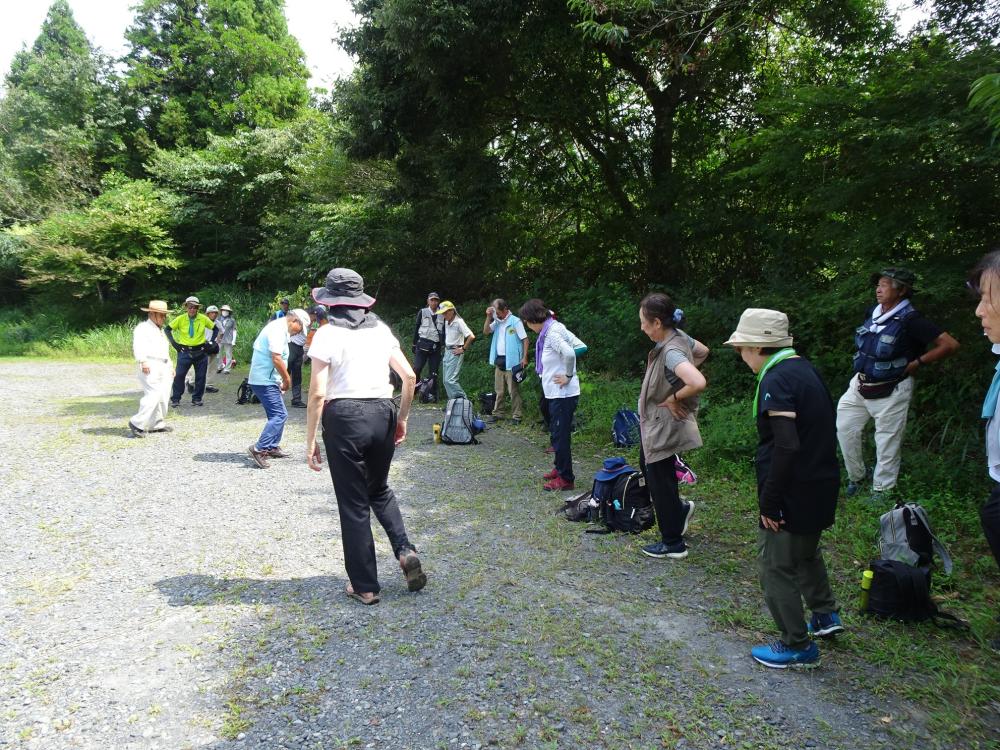 画像12