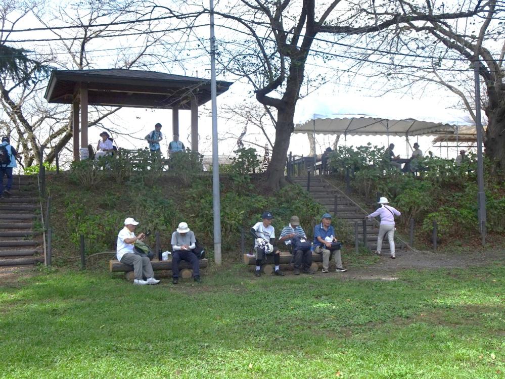 画像11