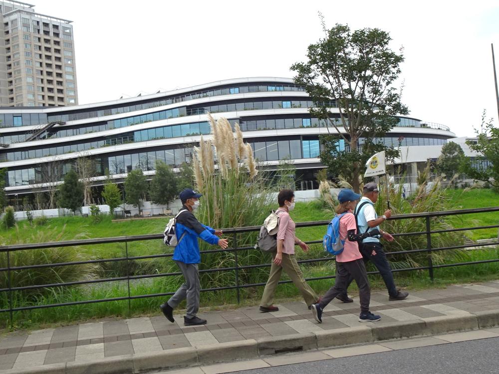 画像4