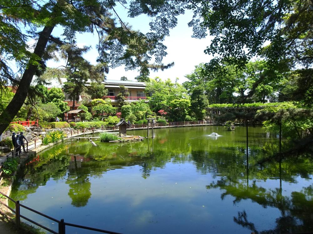 画像7