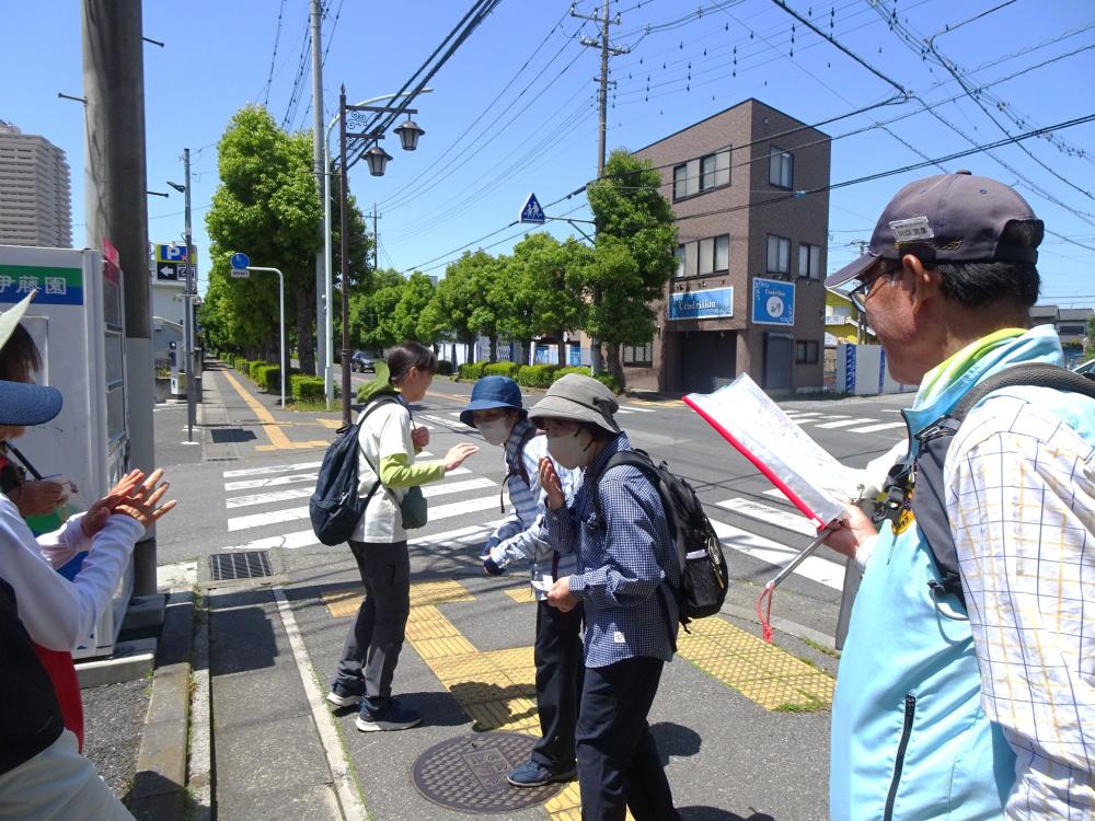 画像8