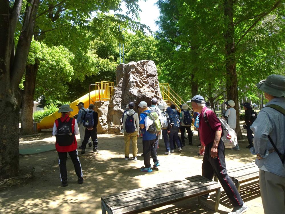 画像9