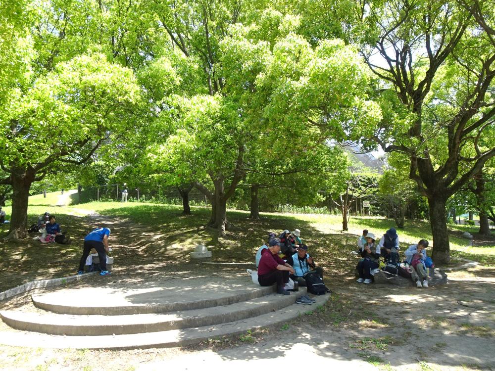 画像11