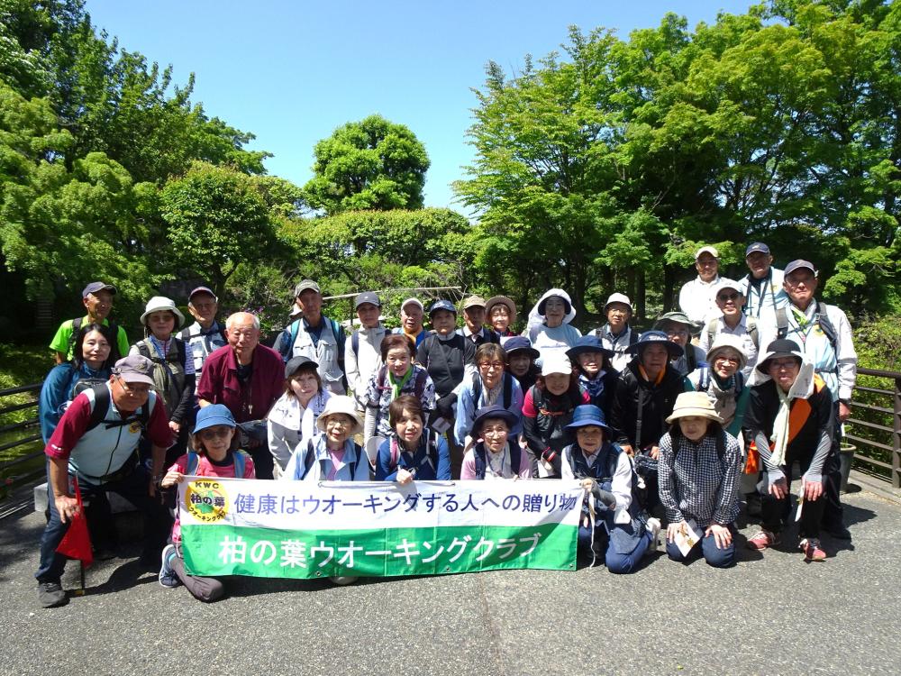 画像13