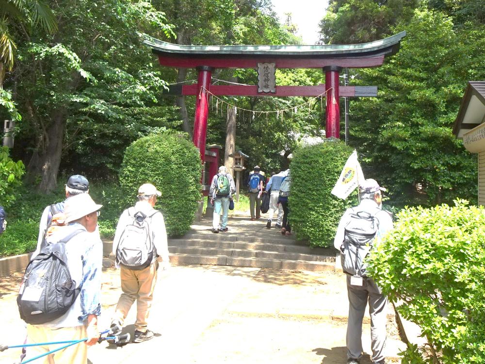 画像5