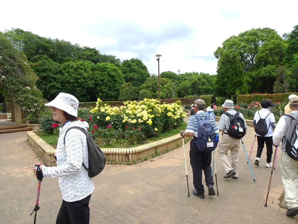 画像9