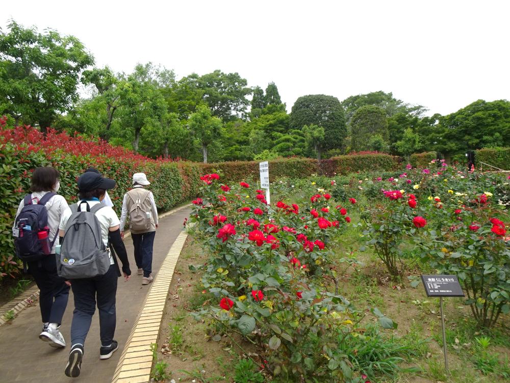 画像7