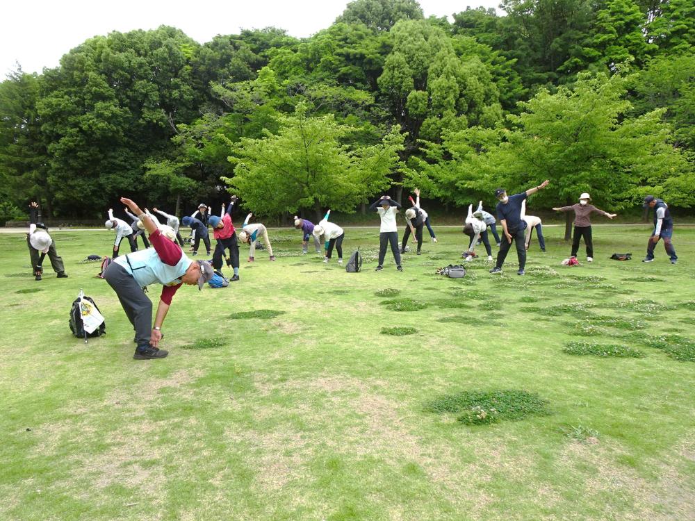画像8
