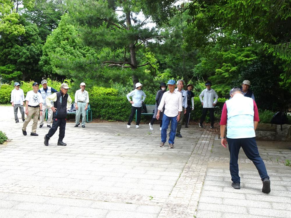 画像8