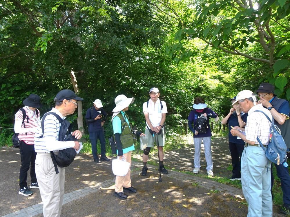画像2