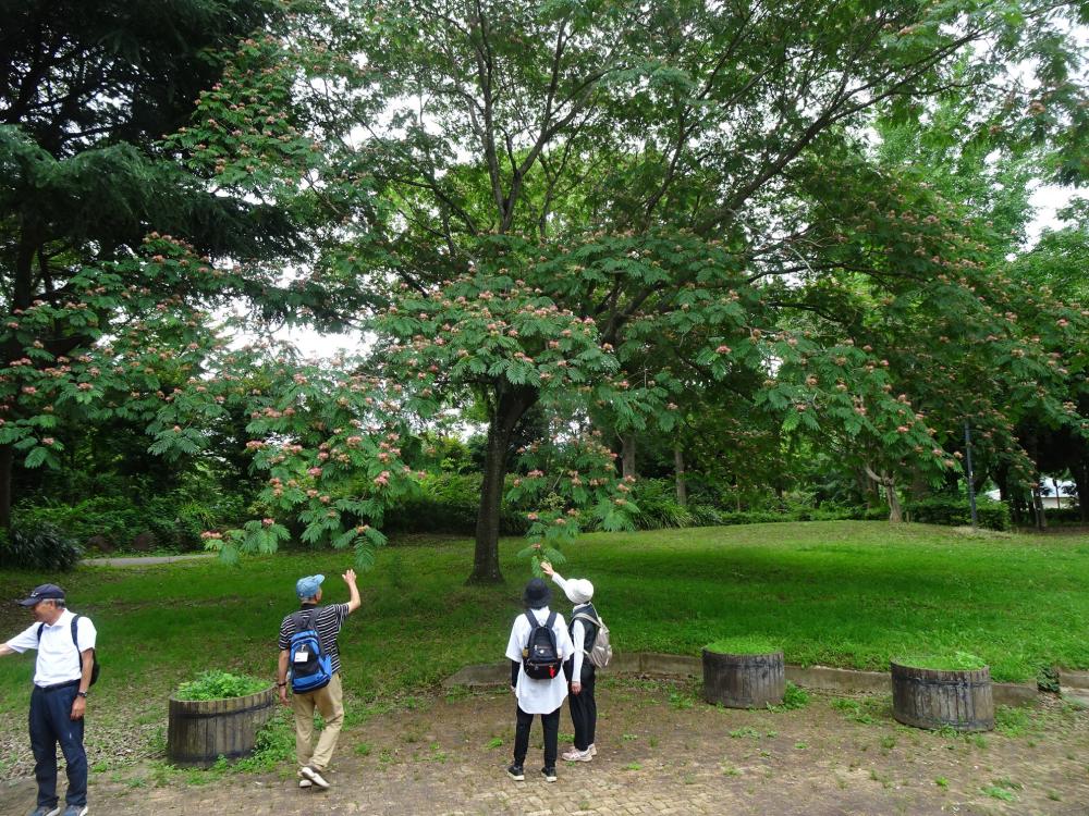 画像6