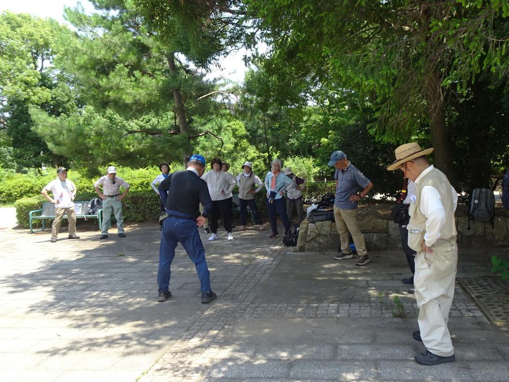 画像6