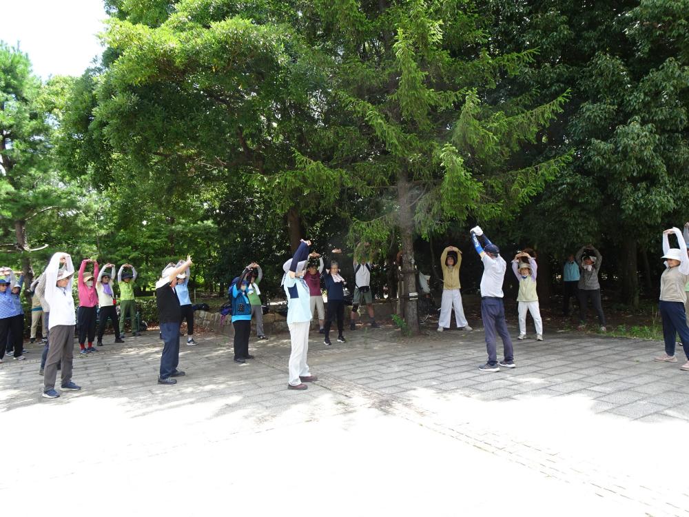 画像8