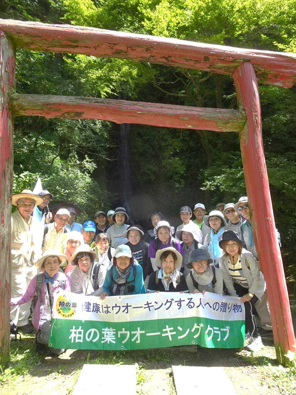 画像5