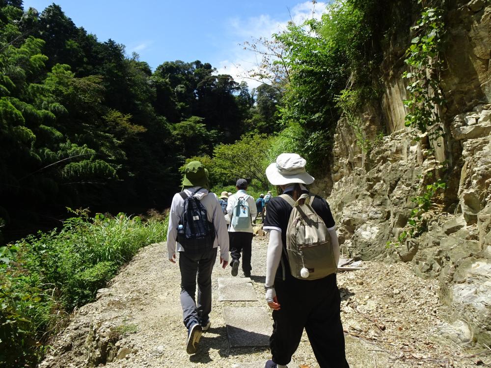画像7