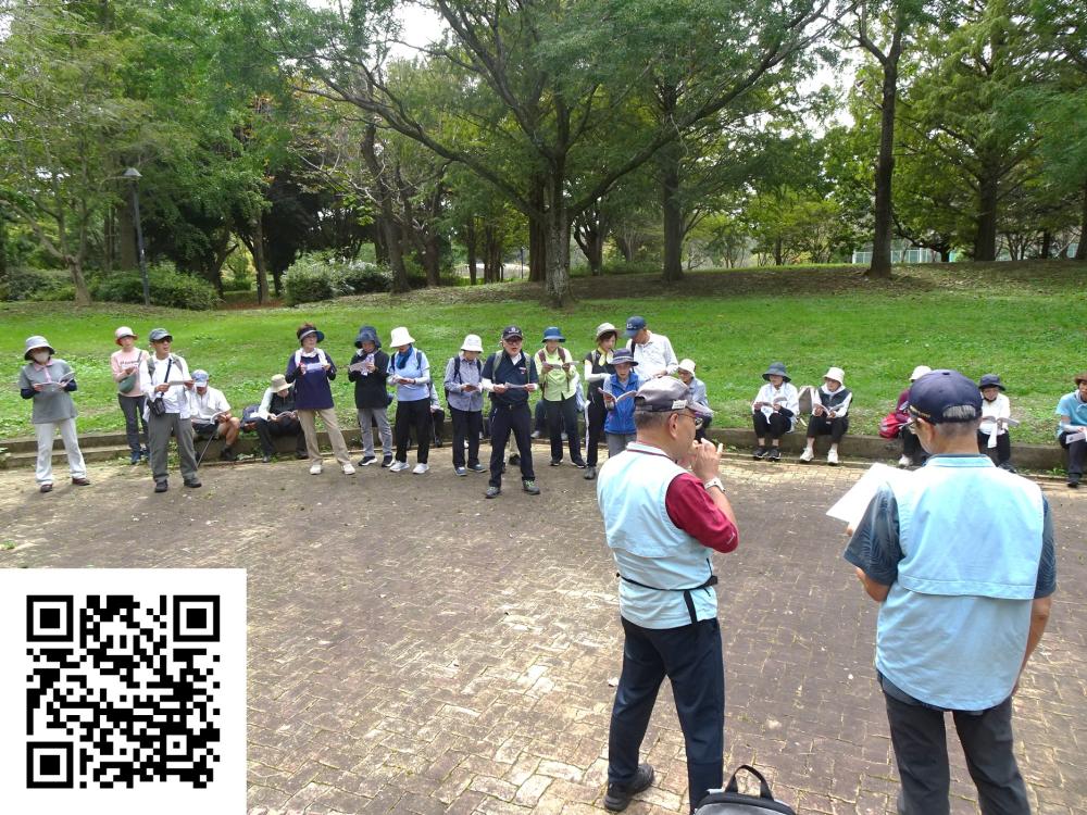 画像7