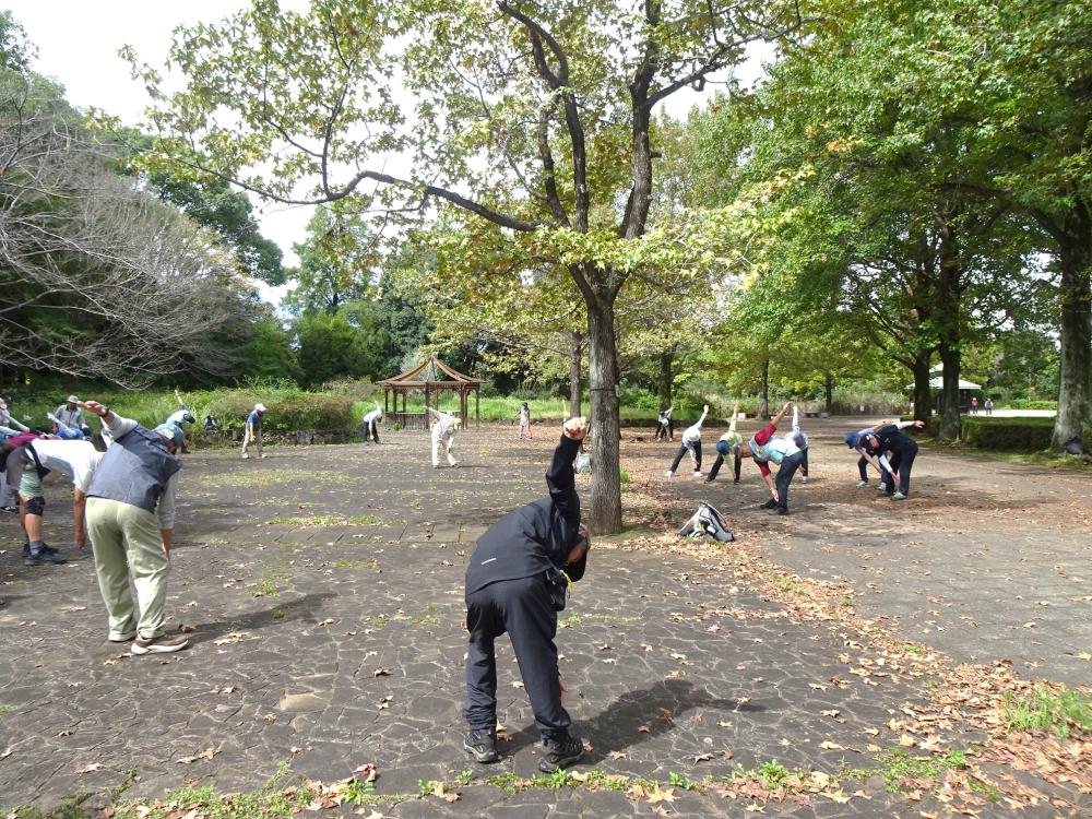 画像8