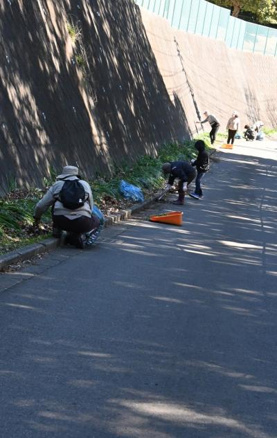 DSC_9986 - コピー