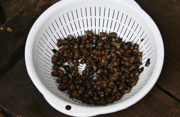 DSC_8063 - コピー