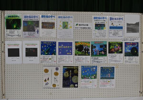 DSC_8060 - コピー