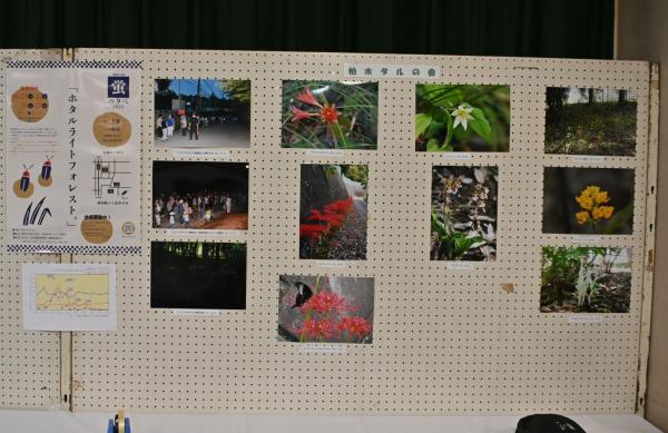 DSC_8061 - コピー