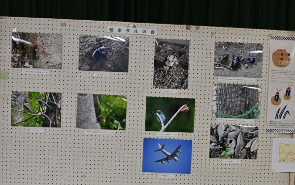 DSC_8078 - コピー