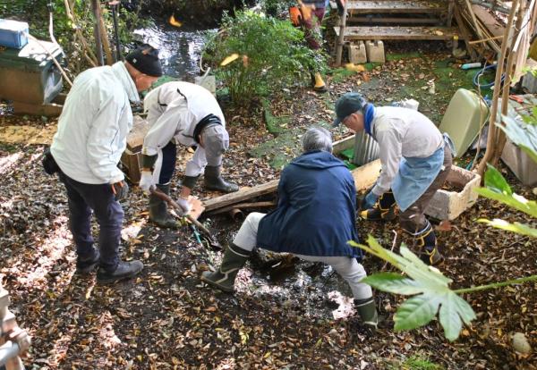 DSC_8460 - コピー