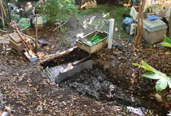 DSC_8464 - コピー