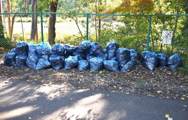 DSC_8473 - コピー