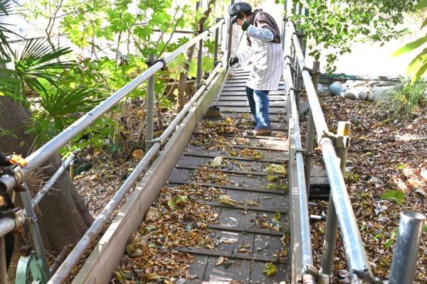 DSC_9294 - コピー