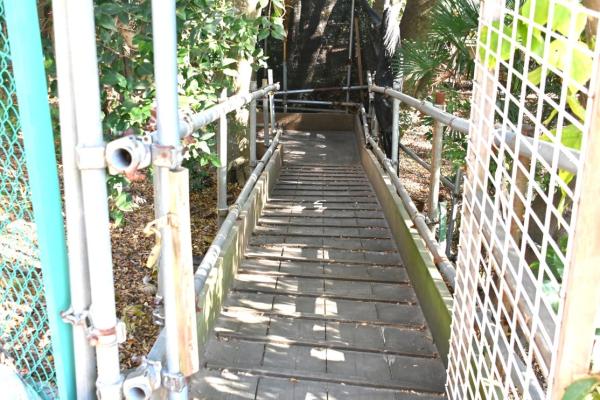 DSC_9307 - コピー