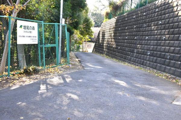 DSC_9313 - コピー