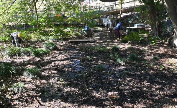 DSC_9978 - コピー