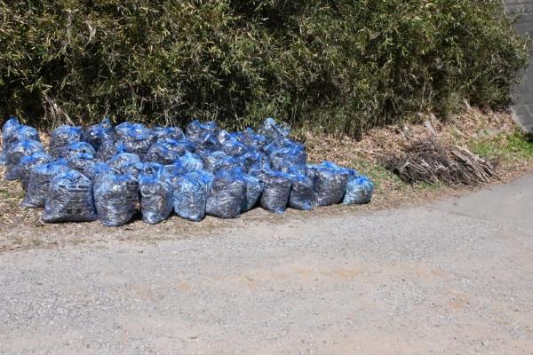 DSC_9990 - コピー