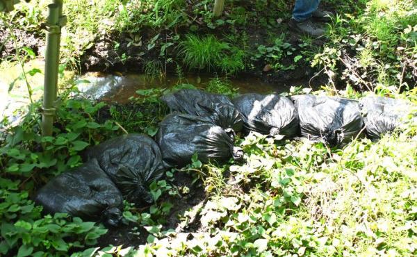 DSC_1070 - コピー