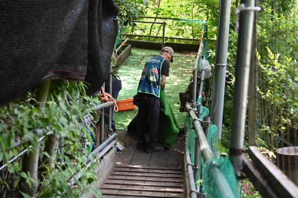 DSC_2581 - コピー