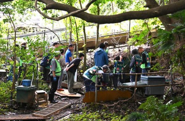 DSC_3523 - コピー